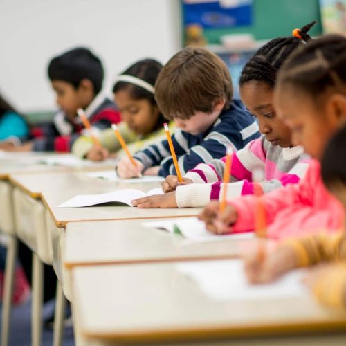 Primary Math Mock Exam