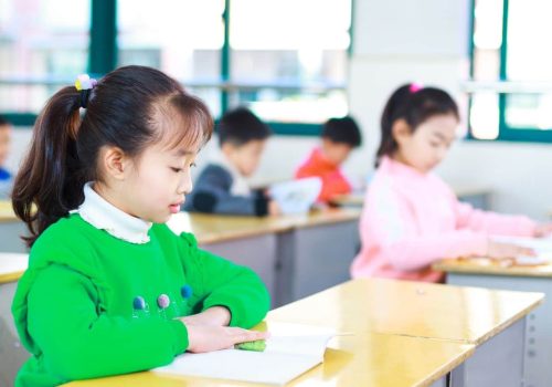 Best Chinese Tuition Centre