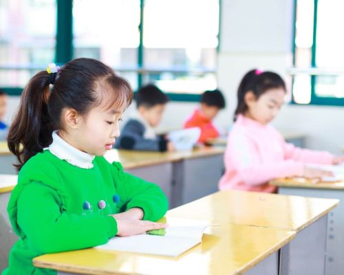 Best Chinese Tuition Centre